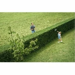 Coupon 🎉 BOSCH Akku-Heckenschere AHS 50-20 LI Mit 1x Akku 18V 2.5Ah 🔔 -BOSCH SHOP 15024245 3