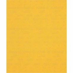 Neu 😉 Bosch EXPERT C470 Schleifpapier Zum Handschleifen, 230 X 280 mm, 2608900965 🔥